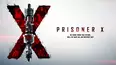 Prisoner X