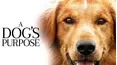 A Dog's Purpose