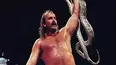 The Resurrection of Jake the Snake