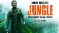 Jungle