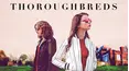 Thoroughbreds
