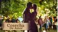 Cosecha de amor