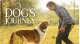 A Dog's Journey