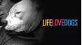 Life Love Dogs