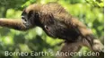 Borneo - Earth's Ancient Eden