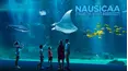 Nausicaa, staging the oceans biodiversity
