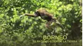 Borneo: El antiguo Edén de la Tierra