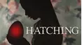 Hatching