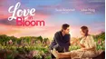 Love in Bloom