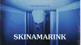 Skinamarink