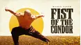 Fist of the Condor