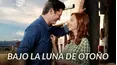 Bajo la luna de otoño