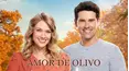 Amor de olivo