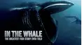 In the Whale: The Greatest Fish Story Ever Told
