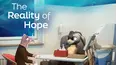 The Reality of Hope