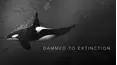 Damned to Extinction