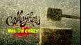 Gallagher: Melon Crazy