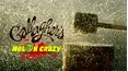 Gallagher: Melon Crazy