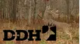 Deer and Deer Hunting