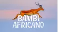 Bambi Africano