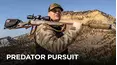 Predator Pursuit