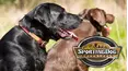 Sporting Dog Adventures