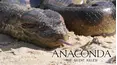 Anaconda: Silent Killer