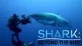 Shark: Beyond the Bite