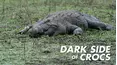Dark Side of Crocs