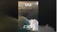 Surfing Presents: Du Ciel