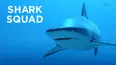 Shark Squad