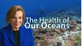 The Health of Our Oceans