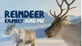 Reindeer Family and Me
