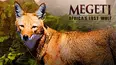 Megeti - Africa's Lost Wolf