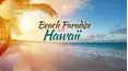 Beach Paradise: Hawaii