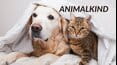 Animalkind