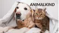 Animalkind
