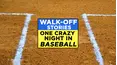 Walk-Off Stories: One Crazy Night in Baseball