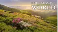 Four Seasons Around the World