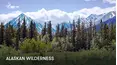 Forest and Mountains, Alaska