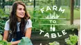 Farm to Table