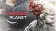 Chicken Planet