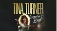 Tina Turner: Simply the Best