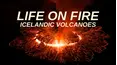 Life on Fire: Icelandic Volcanoes