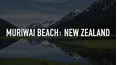 Muriwai Beach: New Zealand