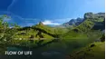 Flow of Life