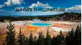 Summer in Yellowstone