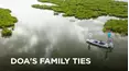 DOA's Family Ties
