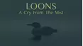 Loons: A Cry From the Mist