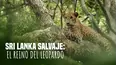 Sri Lanka salvaje. El reino del leopardo